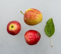 Ringkloster Kammerjunker æble